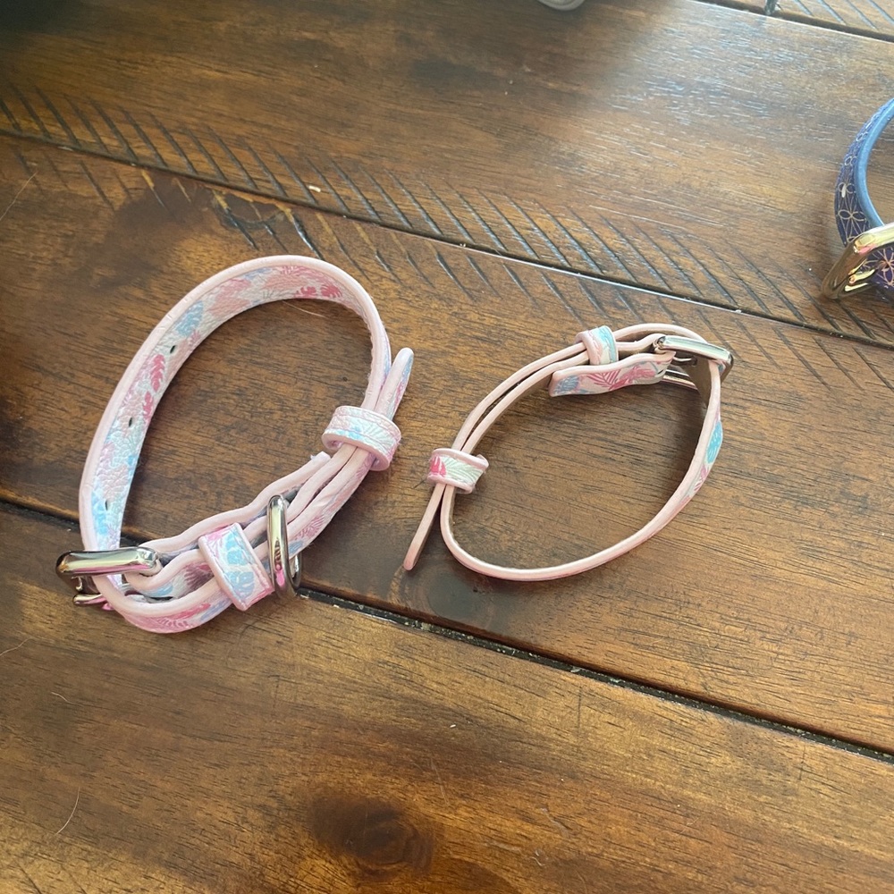 Dog collar/bracelet set